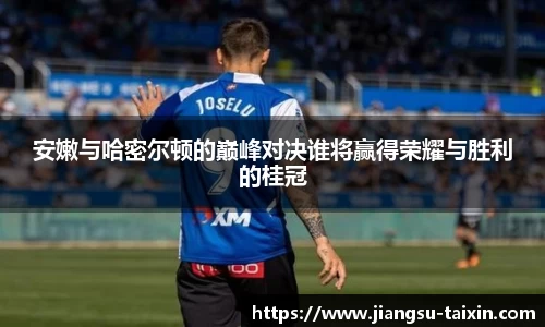 安嫩与哈密尔顿的巅峰对决谁将赢得荣耀与胜利的桂冠