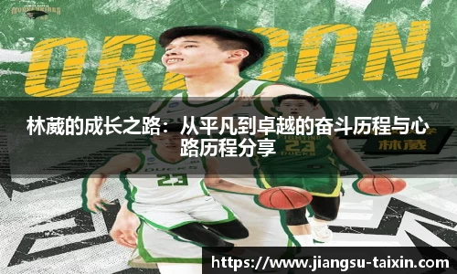 林葳的成长之路：从平凡到卓越的奋斗历程与心路历程分享