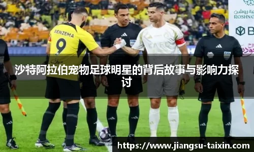 沙特阿拉伯宠物足球明星的背后故事与影响力探讨