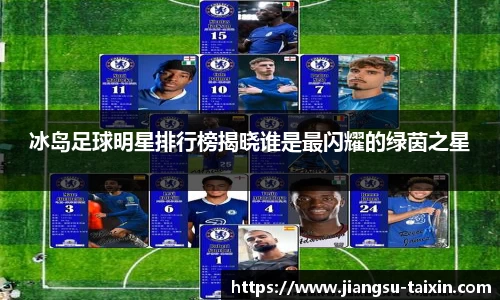 冰岛足球明星排行榜揭晓谁是最闪耀的绿茵之星